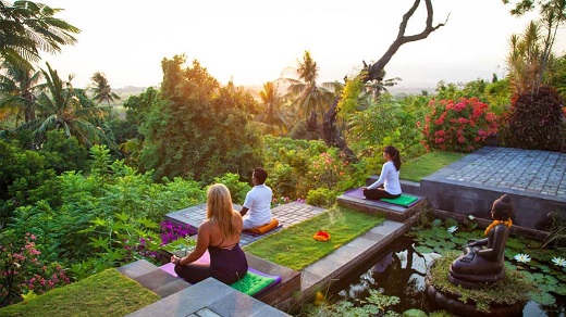 Mind, Body, and Soul: Wellness Retreats and Spiritual Journeys
